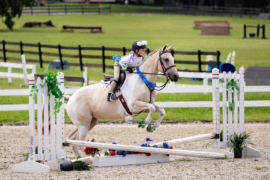 CLERMONT EQUESTRIAN Updated June 2024 27 Photos 9952 Sandy Pines