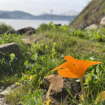 Livingstone Inspiration - Hiking Near Me - Vallejo, California Livingstone Inspiration - Hiking Near Me - Vallejo, California