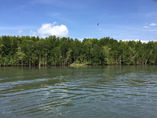 Kilim Geoforest Park by null