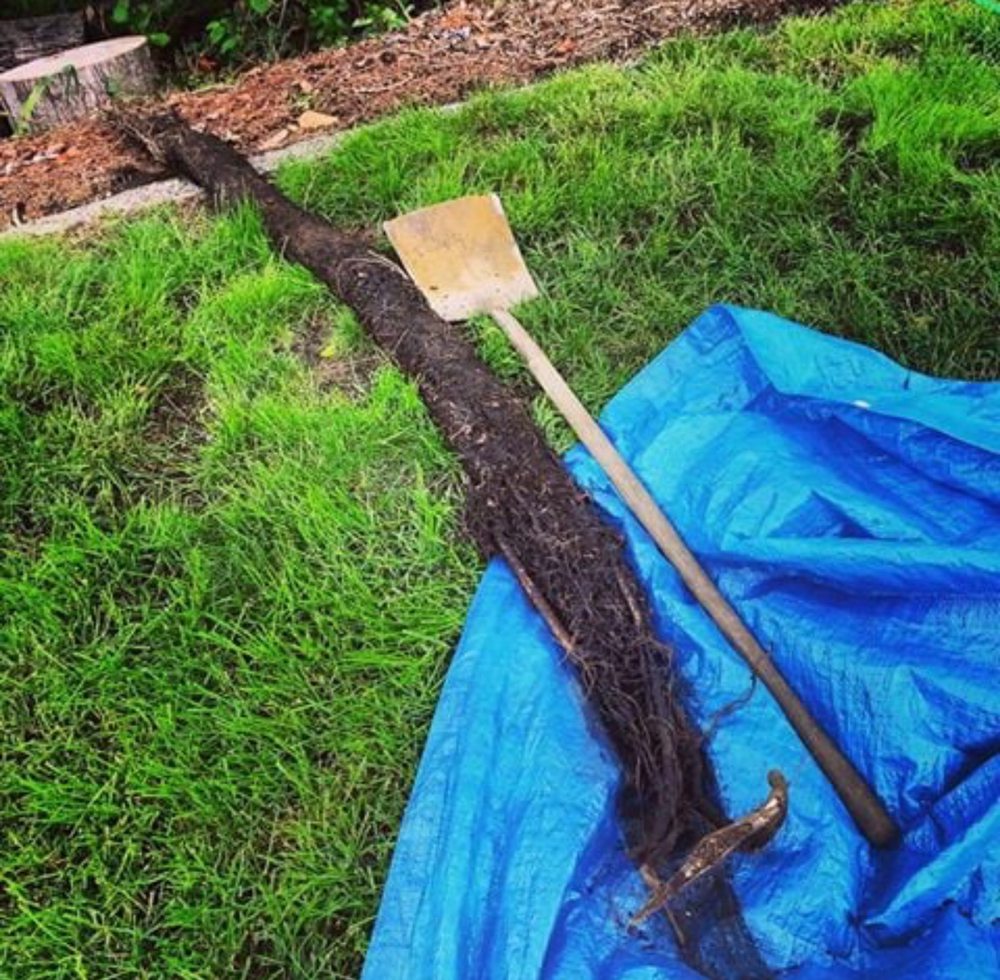 Slide of Compass Plumbing & Drain Services