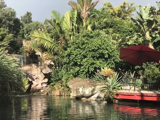 The Lost Spring by null