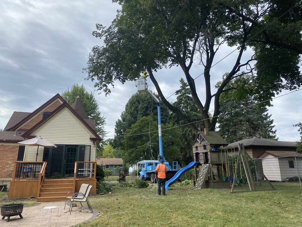 CHARLIE’S TREE SERVICE Updated May 2024 14 Photos 350 Elliot St