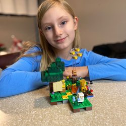 Lego Outlet Store - My finished Lego Minecraft lego