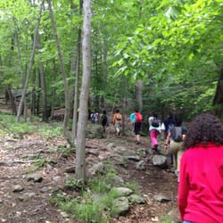 Abram S Hewitt State Forest