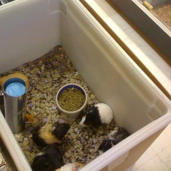 The Animal Store - Pet Stores Near Me - Lincolnwood, Illinois The Animal Store - Pet Stores Near Me - Lincolnwood, Illinois