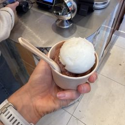 Chocolate sorbet, lemon sorbet Chocolate sorbet, lemon sorbet