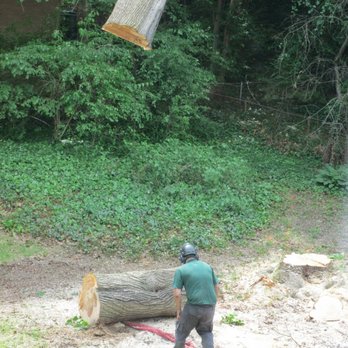 JM Tree - Tree Services Near Me - Rochester, New York