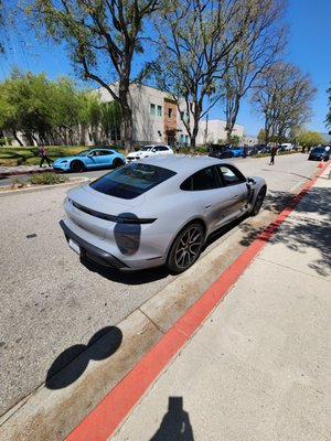 California State University, Northridge by null