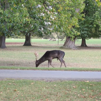 Burghley House - Landmarks & Historical Buildings Near Me