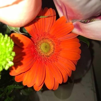 The Flower Shop - Florists Near Me - Riverside, California The Flower Shop - Florists Near Me - Riverside, California