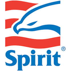 Al's Spirit Service Station - Al's Spirit Service Station will run diagnostics to determine whether or not you need an engine repair in Lake Hopatcong, NJ....