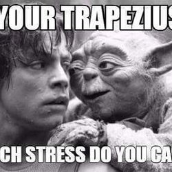 Bliss Massage Therapy