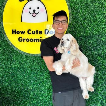 How Cute Dog Grooming - Pet Groomers Near Me - Fairfax, Virginia
