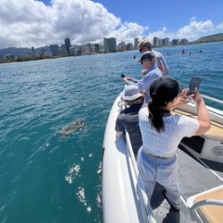 Island Splash Tours - Don't mess with the rest go with the best tour boat in Waikiki .