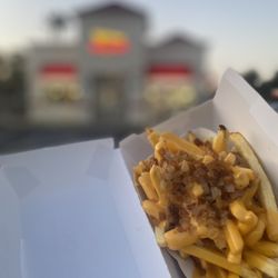 Onion cheese fries