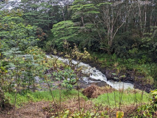 Wailuku River State Park by null