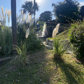Jungle Lagoon - Scenery - Amusement Parks Near Me - Myrtle Beach, South Carolina Jungle Lagoon - Scenery - Amusement Parks Near Me - Myrtle Beach, South Carolina