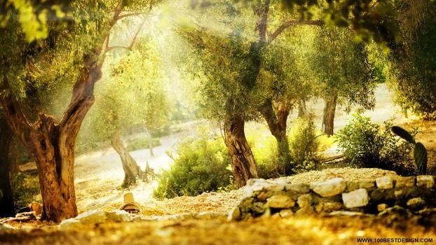 Tomorrow Begins Today Consulting - grief counselor in Toledo, OH