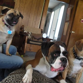 Whiskers To Tails Professional Pet Sitting - Pet Sitting Near Me - Elyria, Ohio Whiskers To Tails Professional Pet Sitting - Pet Sitting Near Me - Elyria, Ohio