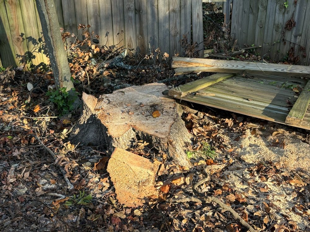 Swamp Rabbit Tree Co - tree service in Greenville, SC