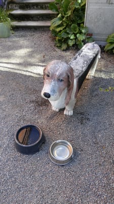 Flickorna Helin by null