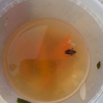 Sweet Basil Thai Cuisine - Tom Yum Soup - Thai Near Me - Hurst, Texas Sweet Basil Thai Cuisine - Tom Yum Soup - Thai Near Me - Hurst, Texas