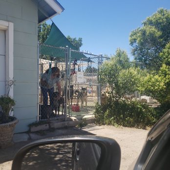 Susan's Bed and Biscuit - Pet Sitting Near Me - Paso Robles, California
