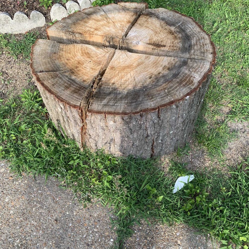 Chesbay Landscaping - Looks like they were told to just leave things as they are - Landscaping Near Me - Yorktown, Virginia Chesbay Landscaping - Looks like they were told to just leave things as they are - Landscaping Near Me - Yorktown, Virginia