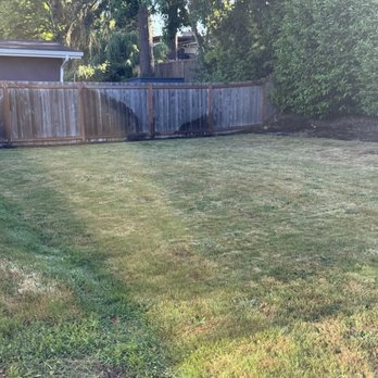 Curiel Landscaping - Landscaping Near Me - Lakewood, Washington Curiel Landscaping - Landscaping Near Me - Lakewood, Washington