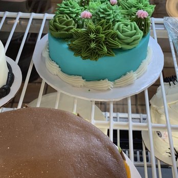 Kim's Kakery, Bakery & Cafe - Beautiful succulent cake. $17 or so. - Bakeries Near Me - Indianapolis, Indiana