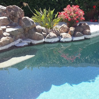 Bays Affordable Pool Tile Cleaning - Before cleaning, terrible !! - Pool Cleaners Near Me