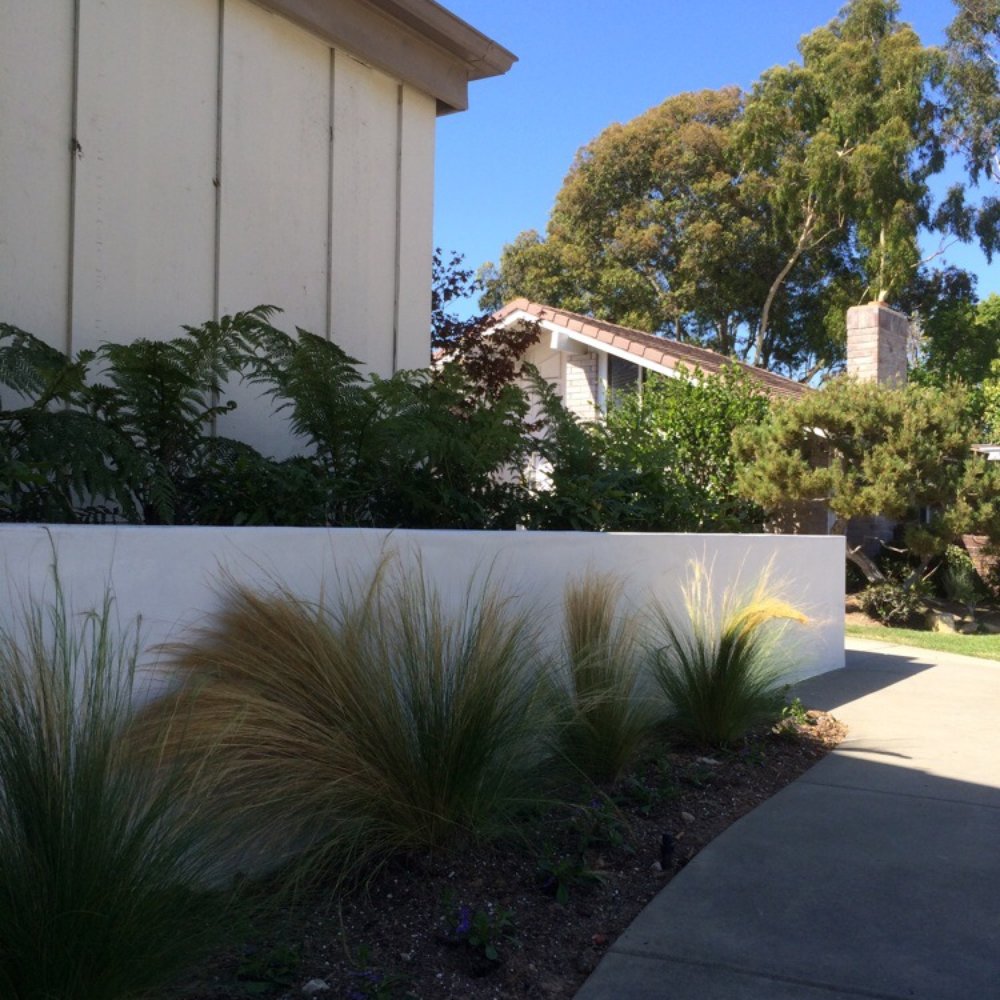 Mike's team built new planter wall and paved a new concrete path through our front yard.