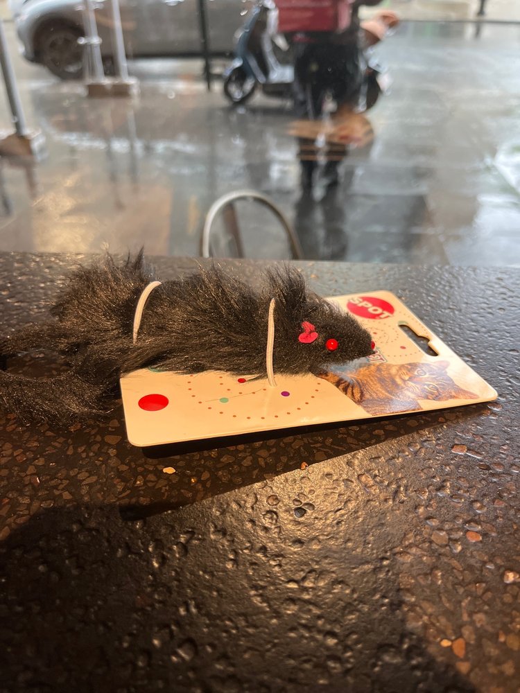 Pet Emporium Image