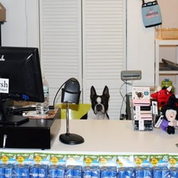 Pawsh Dog Boutique - Resident dog Balki at the check-out