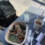 Photo of Proper Food