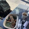 Proper Food gift card