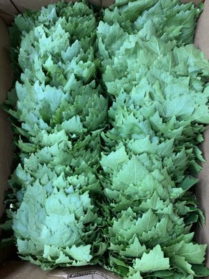 Parisa International Supermarket by null