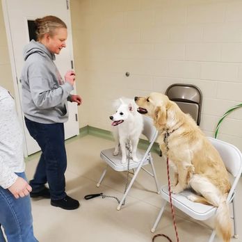 Midwestern K9 - Pet Boarding Near Me - Baraboo, Wisconsin