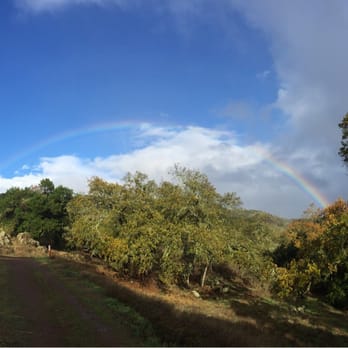 Rancho Cañada del Oro Open Space Preserve - Rainbow after the rain - Parks Near Me - Morgan Hill, California Rancho Cañada del Oro Open Space Preserve - Rainbow after the rain - Parks Near Me - Morgan Hill, California