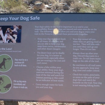 Lost Dog Wash Trail - Hiking Near Me - Scottsdale, Arizona Lost Dog Wash Trail - Hiking Near Me - Scottsdale, Arizona