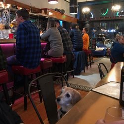 Dog friendly!