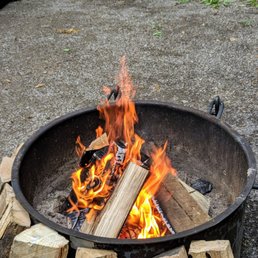 Firewood here is