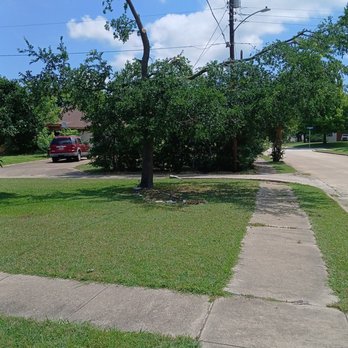 Asplundh Tree Expert - I must have had the training crew of A$$ Puke. This is how they butchered my tree for Oncor. - Tree Services Near Me Asplundh Tree Expert - I must have had the training crew of A$$ Puke. This is how they butchered my tree for Oncor. - Tree Services Near Me