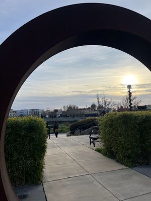 Napa Valley Vine Trail by null