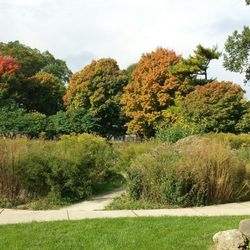 Lindberg Park