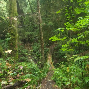 Schmitz Preserve Park - Parks Near Me - Seattle, Washington
