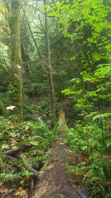 Schmitz Preserve Park by null