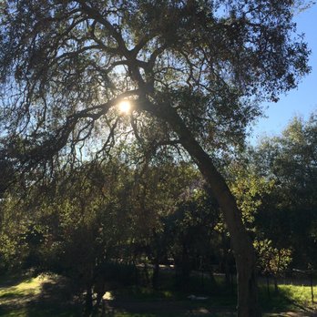 Felicita County Park - Parks Near Me - Escondido, California