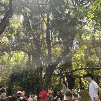 Tower Cafe - Outdoor Seatinh - Breakfast & Brunch Near Me - Sacramento, California