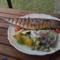 Fischerei Löcknitz